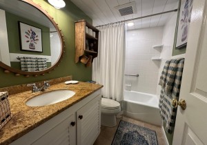 beachmark1j-21b-owner-bath-photo.jpg