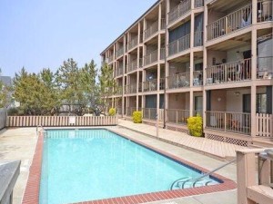 jam-bay-pool.jpg