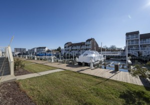 baywatch302d-5-view.jpg
