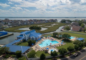 heronharborpool-3.jpg
