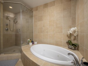 gateway1412-12-primary-bath-new.jpg