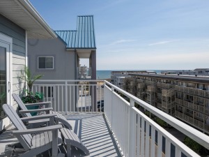 4100-401-20-bal-and-view.jpg
