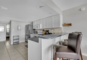 fountainhead205-9-kitchen.jpg