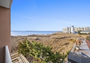 ocmd-makai-unit116-ohi22view.jpg