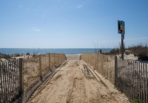 amberwaves503-2-dune-crossing.jpg