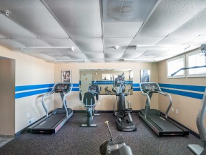 belmont510-5816-exercise.jpg