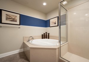 belmont506-18-primary-bath.jpg