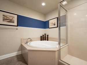 belmont506-18-primary-bath.jpg