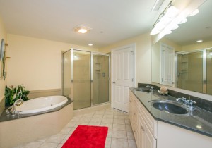 belmont510-5788-master-bath.jpg