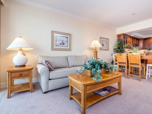 belmont510-5803-living-area.jpg
