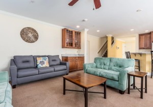 belmontth6-15livingarea.jpg