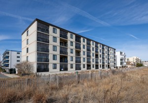 bonfire504-3-ext.jpg