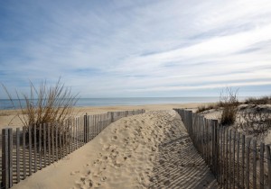 bonfire504-5-dune-crossing.jpg