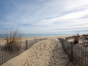 bonfire504-5-dune-crossing.jpg