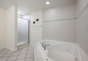 avalon502-18-primary-bath.jpg