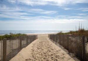 camelot501a-9-walkway.jpg