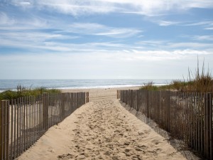 camelot501a-9-walkway.jpg