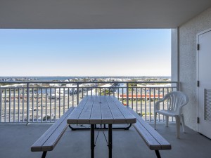 carousel805-2-balc-and-view.jpg