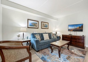 pr519-5-living-area.jpg