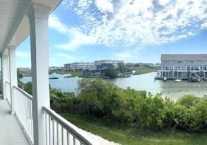 view.jpg