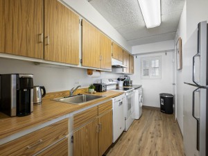 englishtowers-19-kitchen.jpg