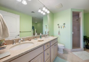 lagunavista209-22-primary-bath.jpg