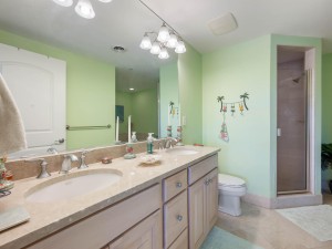 lagunavista209-22-primary-bath.jpg
