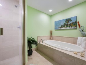 lagunavista209-23-prim-bath.jpg