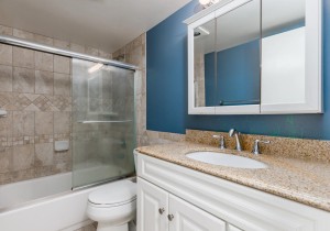 englishtowers1002-10masterbath.jpg