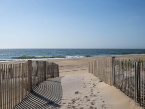 oceanvillage5-8-walkway-to-the-beach.jpg