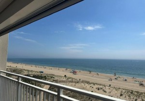 view-1-owner.jpg