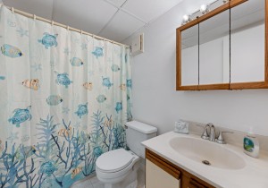 assateaguehouse107-17-primary-bath.jpg