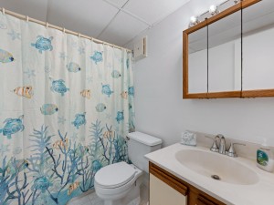 assateaguehouse107-17-primary-bath.jpg
