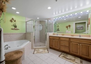 belmar102-19-primary-bath.jpg