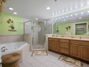 belmar102-19-primary-bath.jpg