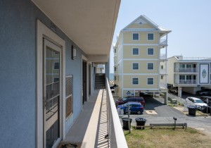 wildwaves202-4.jpg