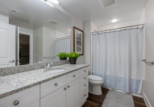 gateway1602-25-bath-3.jpg