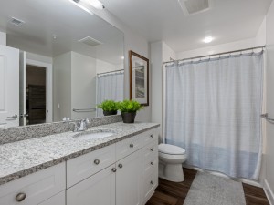 gateway1602-25-bath-3.jpg