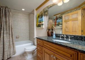 carlye301-26-bath.jpg