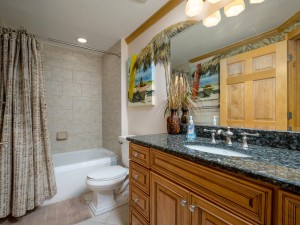 carlye301-26-bath.jpg