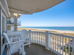 carlye301-3-balcony-and-view.jpg