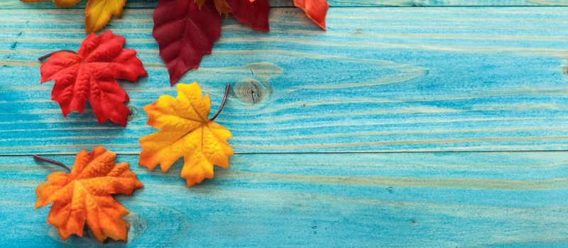 Activities in Ocean City Maryland | Annual Fall Events