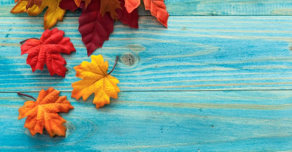 Activities in Ocean City Maryland | Annual Fall Events