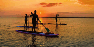 bayside-vacation-guide-to-ocean-city-md-rentals-dining-and-activities-Paddle-Boarding-In-OCMD-300x152-6a29be8a3d325.png Enjoy the Bay at the Beach!