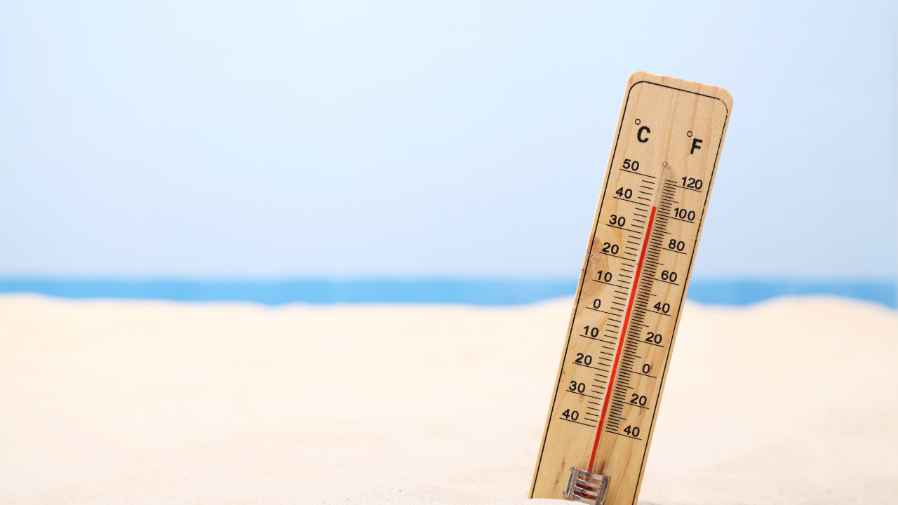 Best Ways to Beat the Heat in Ocean City, MD