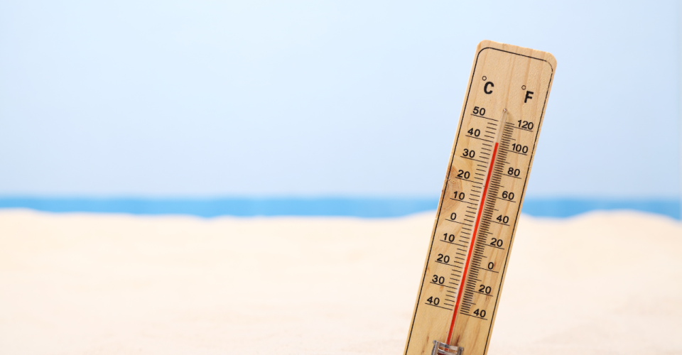 Best Ways to Beat the Heat in Ocean City, MD