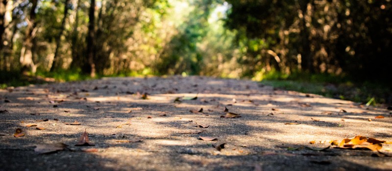 Best Walking Trails in Ocean City, MD