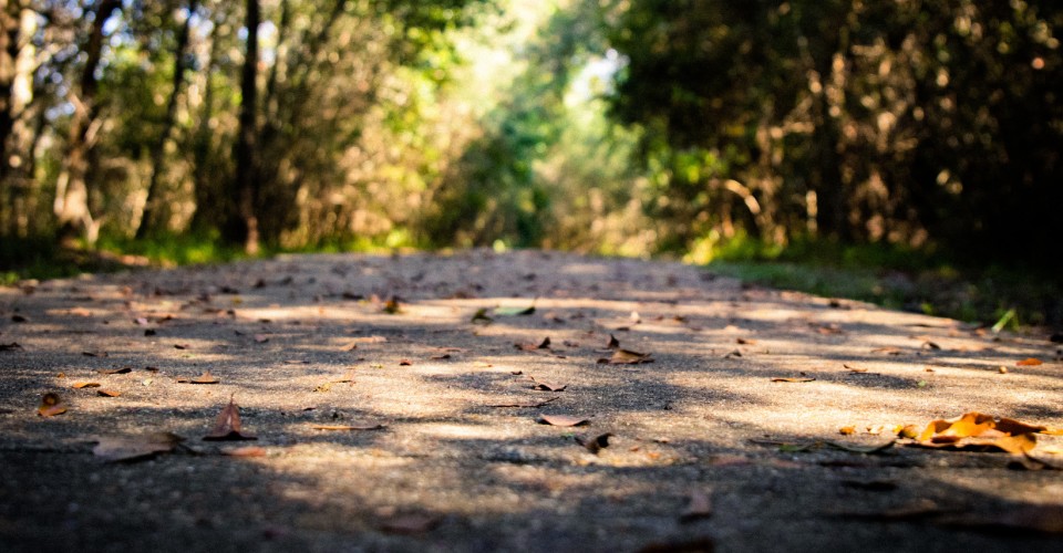 Best Walking Trails in Ocean City, MD