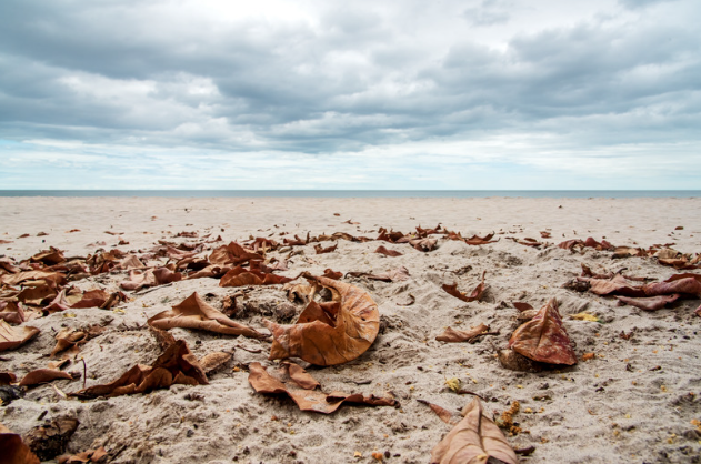 Fall Vacation in Ocean City, MD