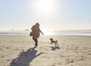 escape-to-ocean-city-md-in-march-2025-Being-Outside-is-Fun-300x218-6a29be86d311c.png escape-to-ocean-city-md-in-march-2025-Being-Outside-is-Fun-300x218-6a29be86d311c.png